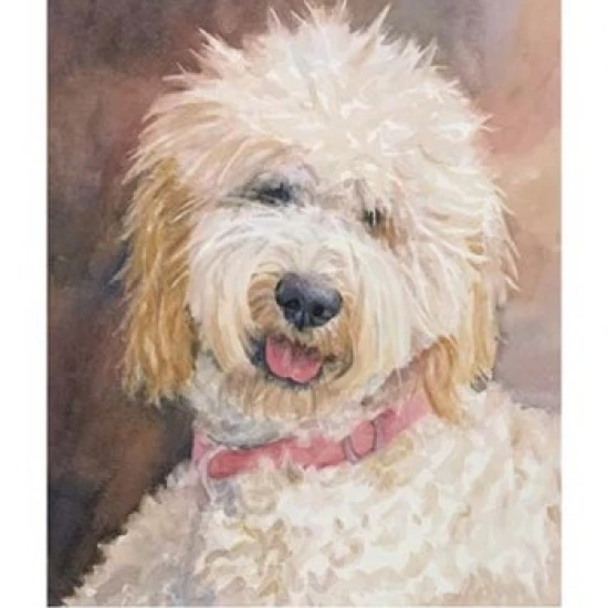 Honey Goldendoodle Poster Print by Edie Fagan (13 x 19) | Дом и сад