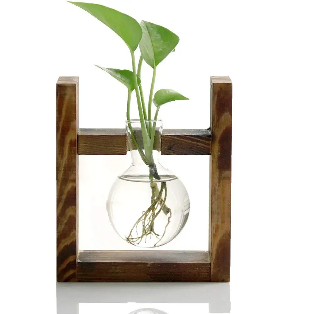 Hot Glass containers plant glass containers modern decorative glass pots hydroponic glass