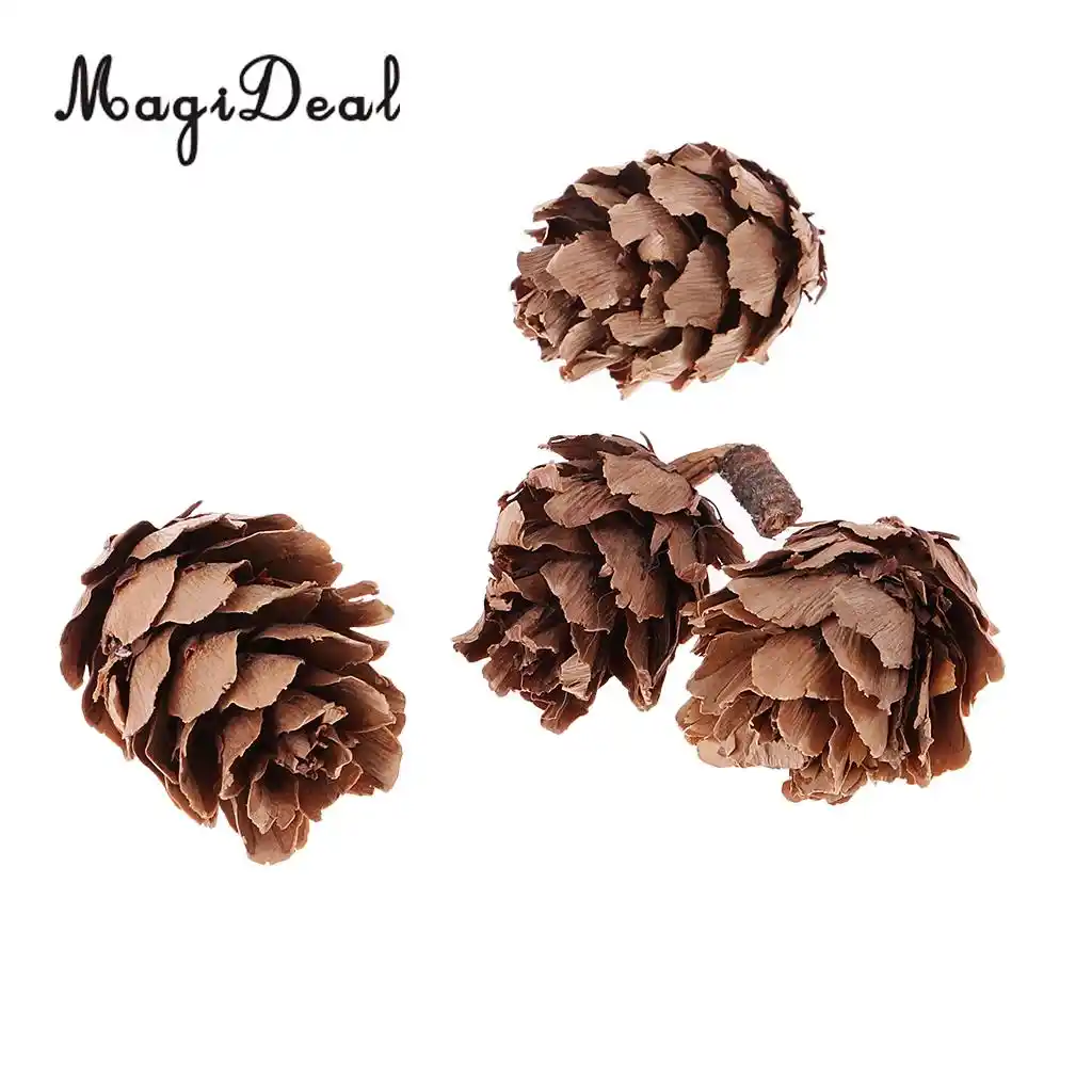 30x Small Natural Dried Pine Cones In Bulk Dried Flowers for Christmas Decor
