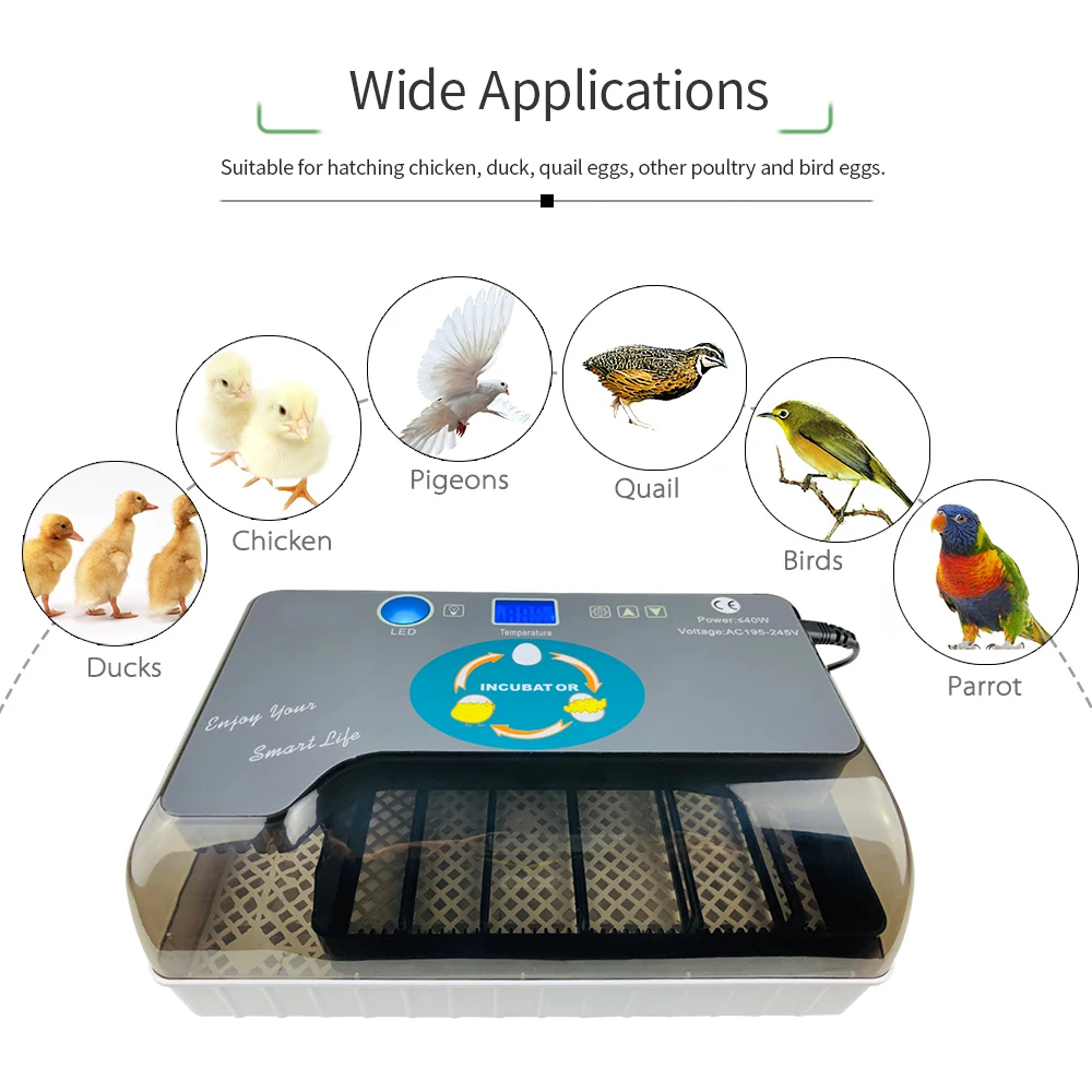 Smart Digital Egg Incubator Automatic Eggs Hatcher Incubators with Eggtester Automatic Pet Egg Turning 12 Eggs Poultry Hatcher Smart Digital Egg Incubator Automatic Eggs Hatcher Incubators with Eggtester Automatic Pet Egg Turning 12 Eggs Poultry Hatcher
