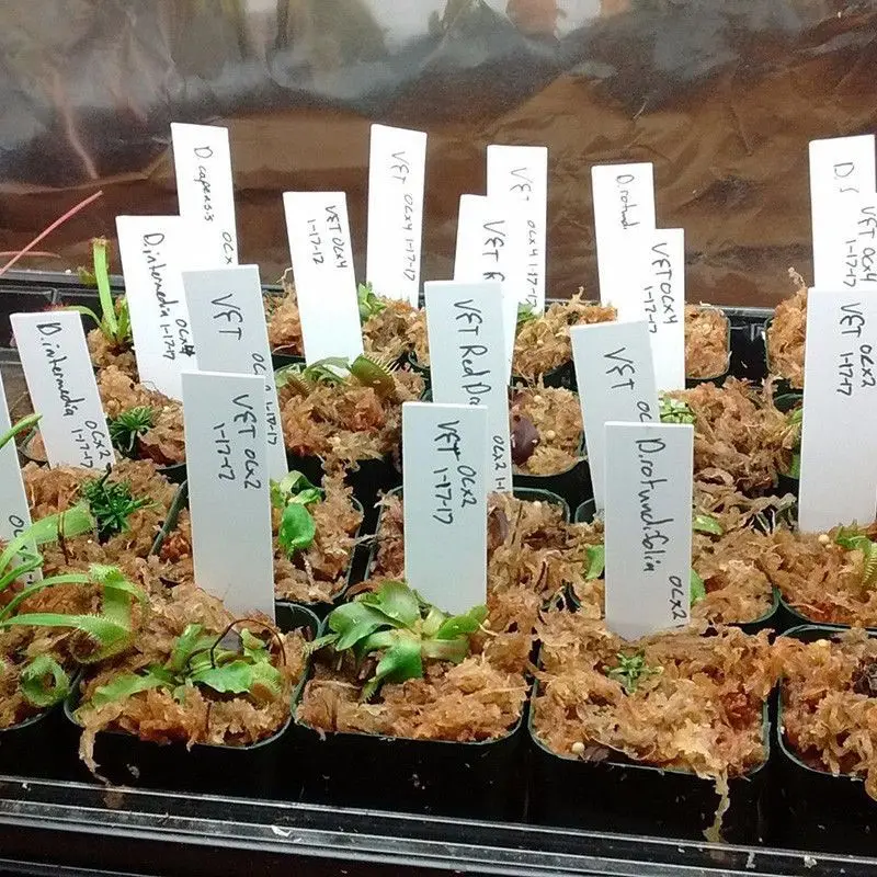 

600 Pcs Plant Labels Plastic Nursery Garden Tags