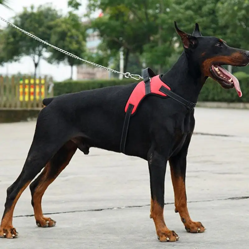 Нейлоновый сверхмощный поводок для собак K9 ошейник с подкладкой очень большой