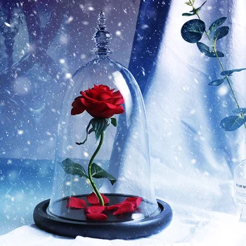 

Hot Valentines Day Gift Beauty Rose and Beast Red Flower Romantic Valentine's Day Birthday Gift Decoration Artificial Flowers