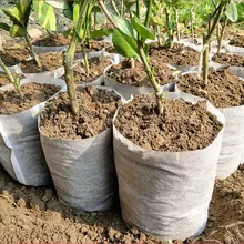 Different Sizes Biodegradable Non-woven Nursery Bags Plant Grow Bags Fabric Seedling Pots Eco-Friendly Aeration Planting Bags 40