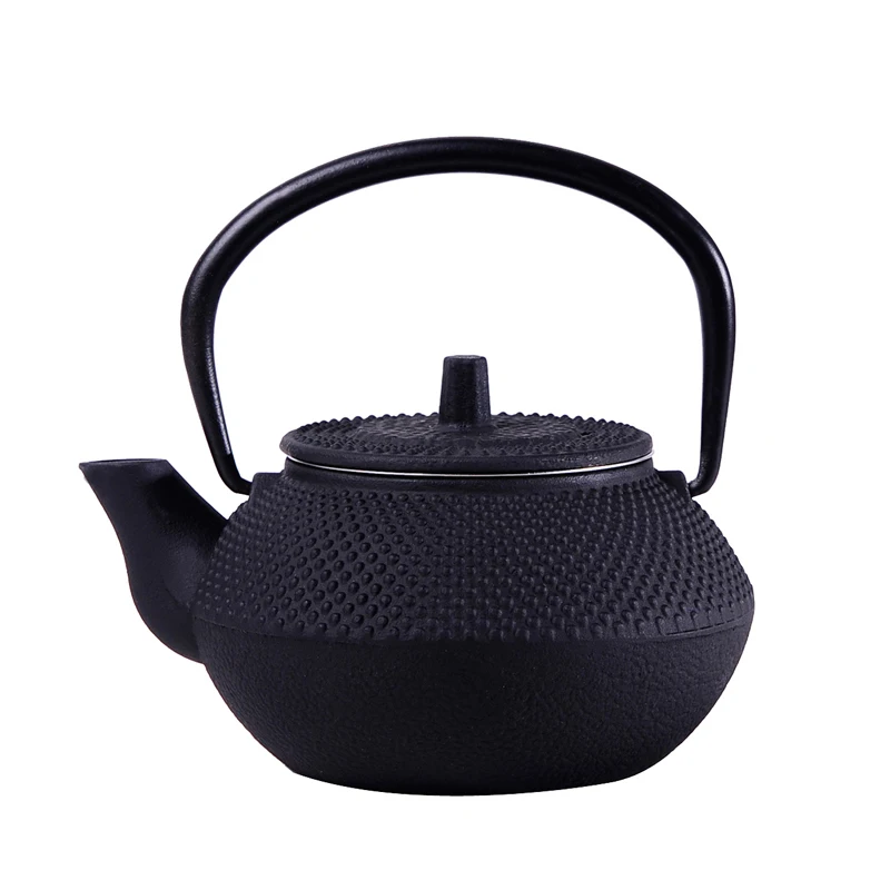 Japanese Kung Fu Teapot Japan Southern Cast Iron Office With Tea Filter