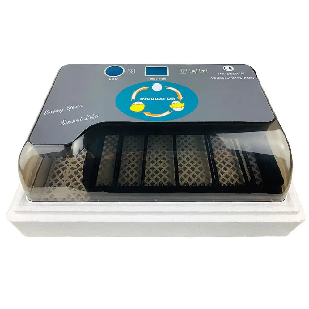 

110V Practical 12 Eggs Large Capacity Automatic Mini Incubator For Quail Chicken Turkey Egg Turning With Temperature Alarm