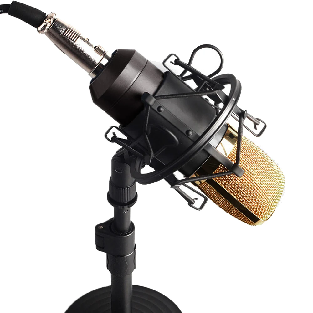 

Besegad Professional Studio Broadcasting Song Sound Voice Recording Condenser Microphone Microfone Mic Shock Mount Holder Set