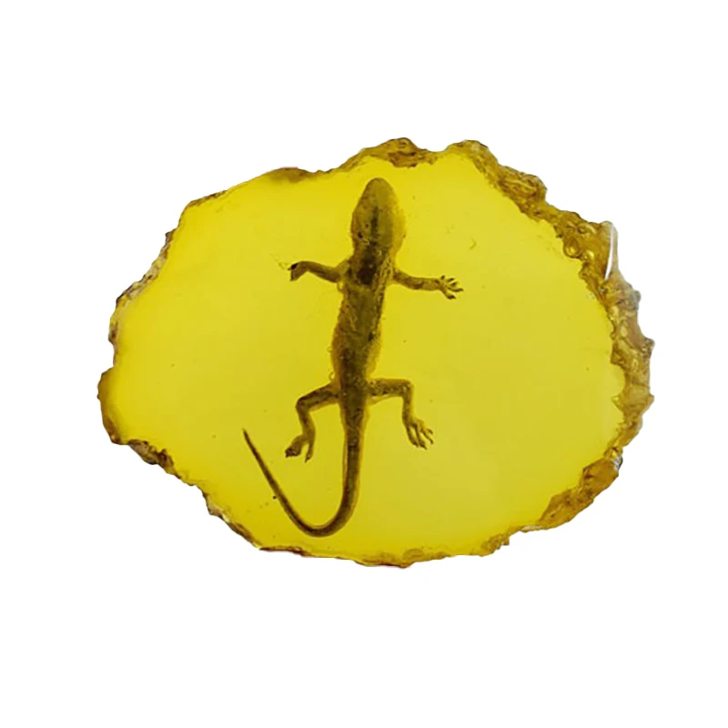 

Yellow Amber Gecko Amber Ornaments For Real Insect Specimens