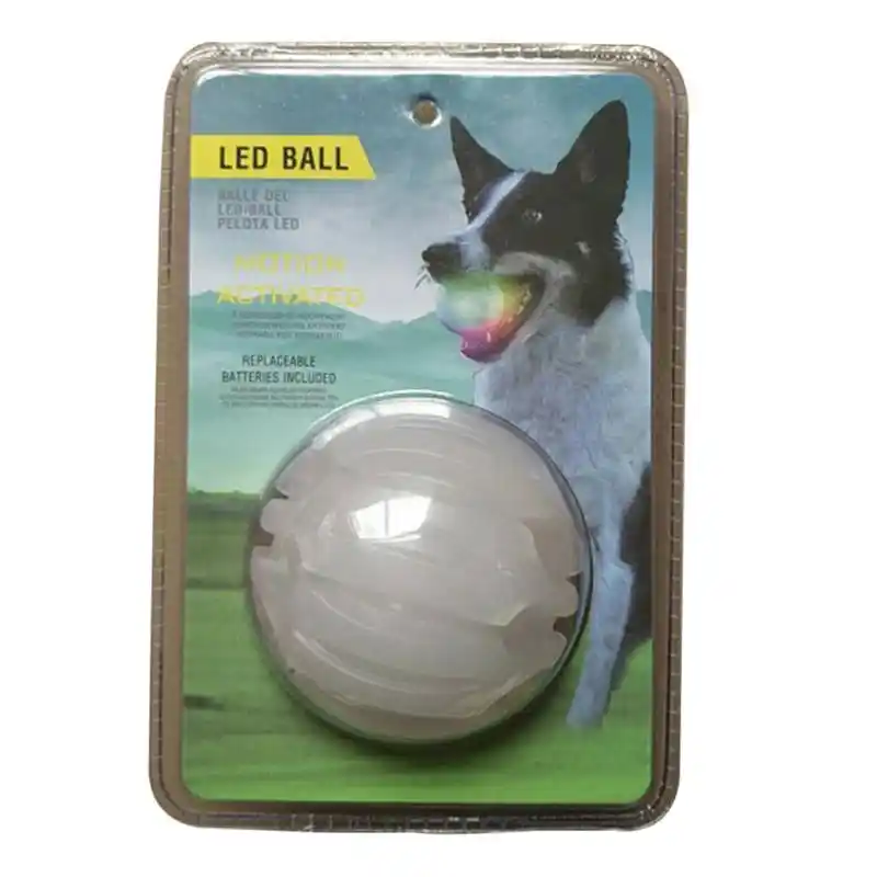dog bouncy ball