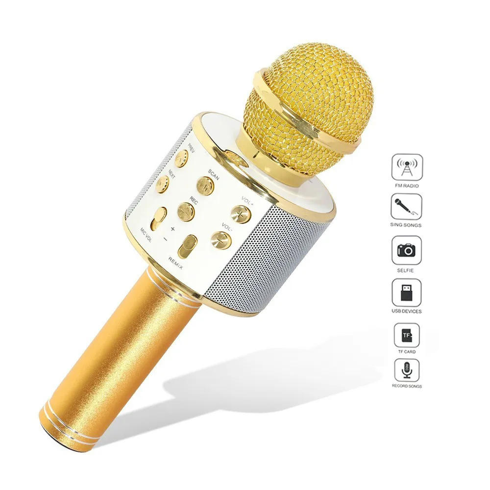microphone with inbuilt speaker
