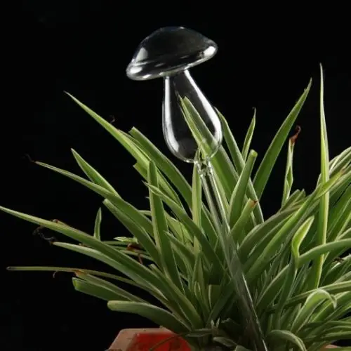 Растение воды стекло растение Цветы вода кормушка самополивающаяся Птица Дизайн растение водонагреватель высокое боросиликатное стекло цветок диаметр
