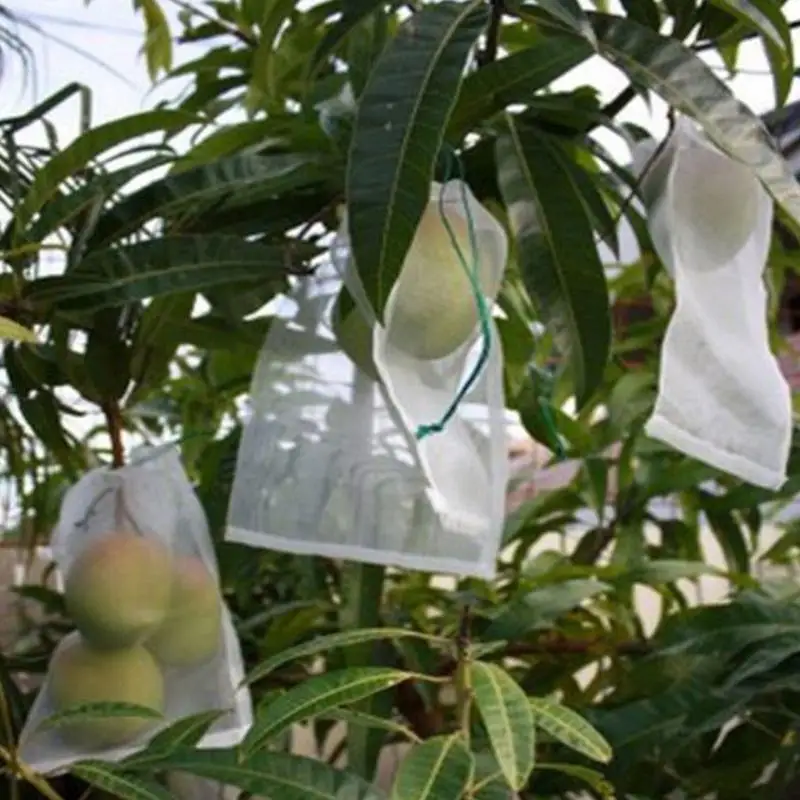

White Breathable Garden Plant Flower Fruit Vegetable Protect Bag Drawstring Mesh Net PE Bag Anti insects pests birds