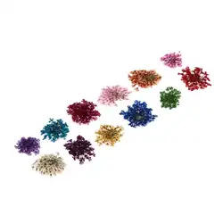 12 решетки/Цвет 3D высушенный цветок для ногтей Art Наклейка сухие цветы маникюр