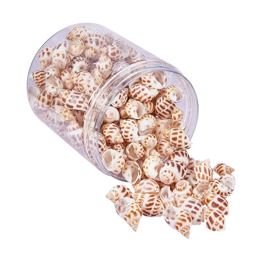 

1Box About 140-160Pcs Snail Sea Shells Dyed Beads Charms Holes Craft Jewelry DIY Making Home Deco 32-45mm Length
