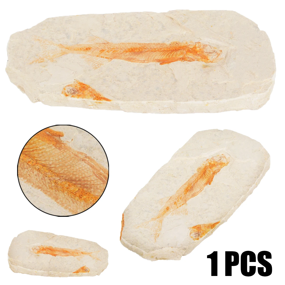 150 г натуральные рыбы ликоптера окаменелый образец Юрского периода в меловый прекрасный подарок для коллекционеров