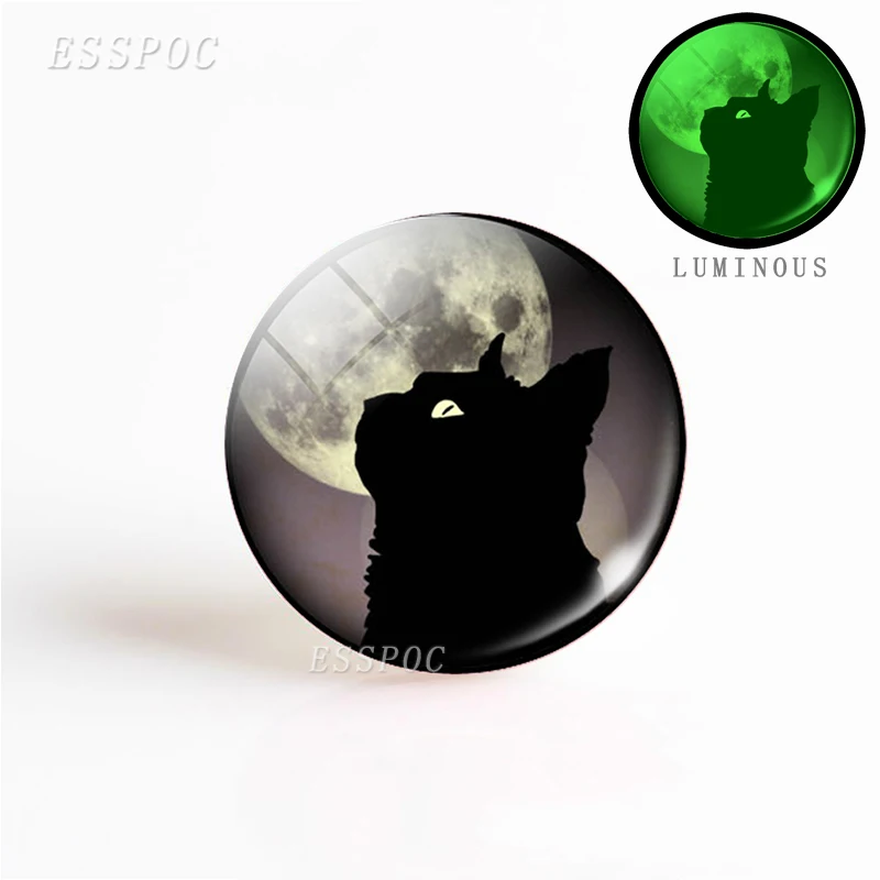 5 шт./компл. Модный Черный кот светящиеся глаза полная луна фото Светящееся Стекло купол животное сделай сам для ожерелья кулон ювелирный подарок