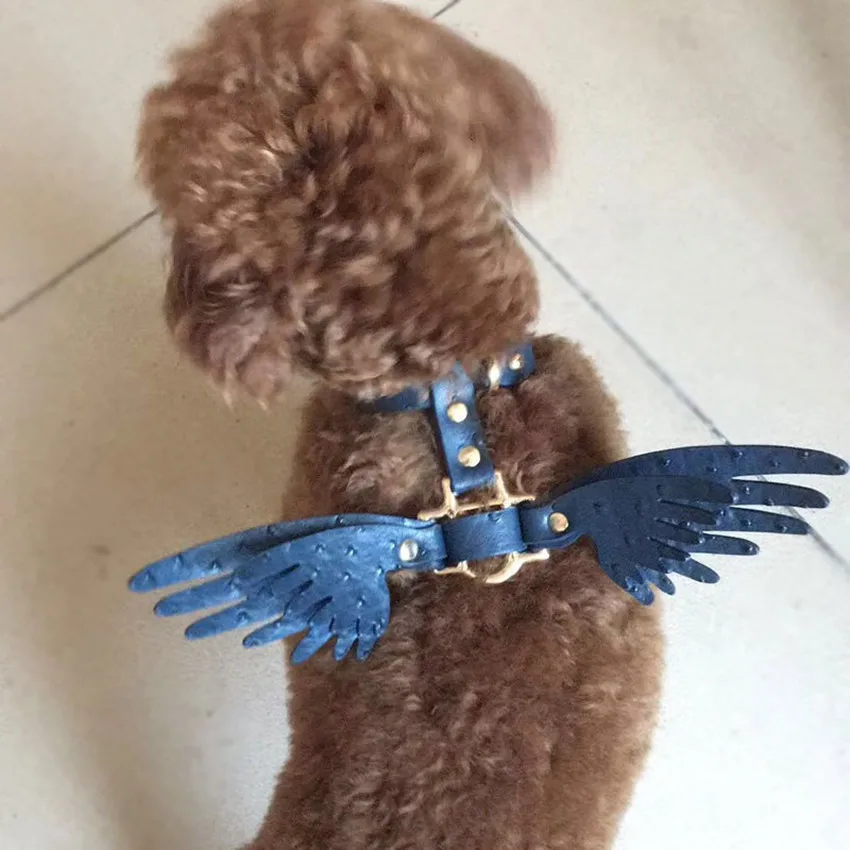 designer leather dog harness