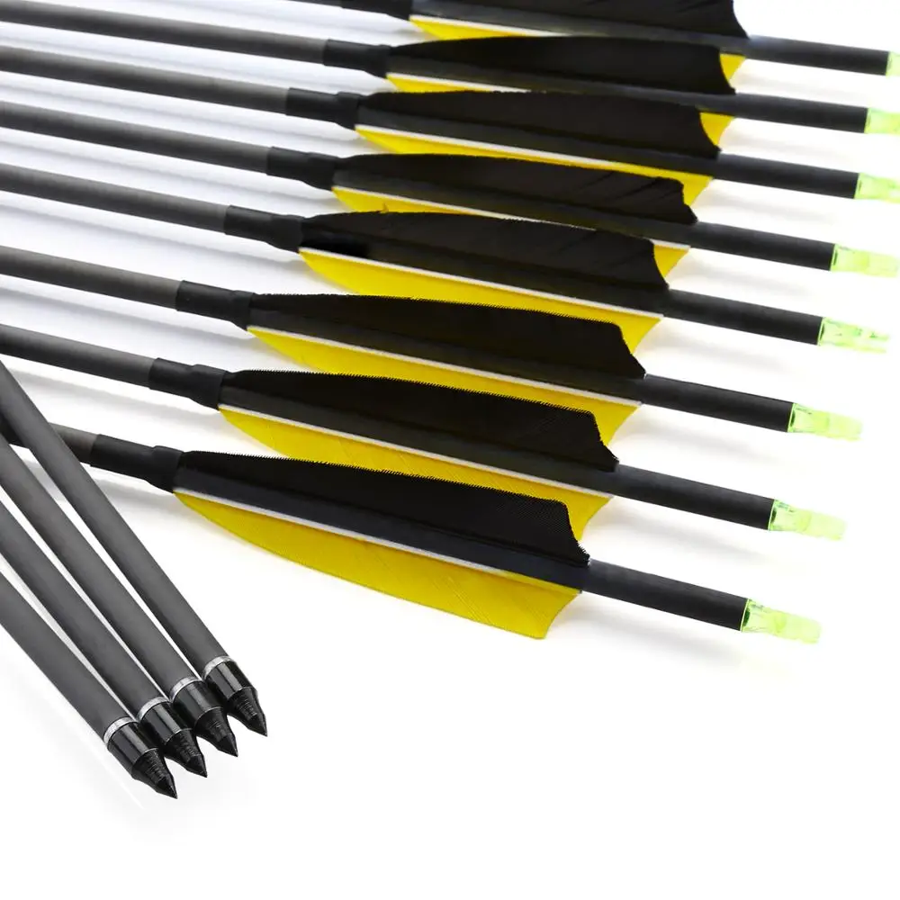 

12pcs 30"/32" Inch Archery Pure Carbon Arrow Spine 300/600 for Recurve Bow or Compound Bow Outdoor Hunting