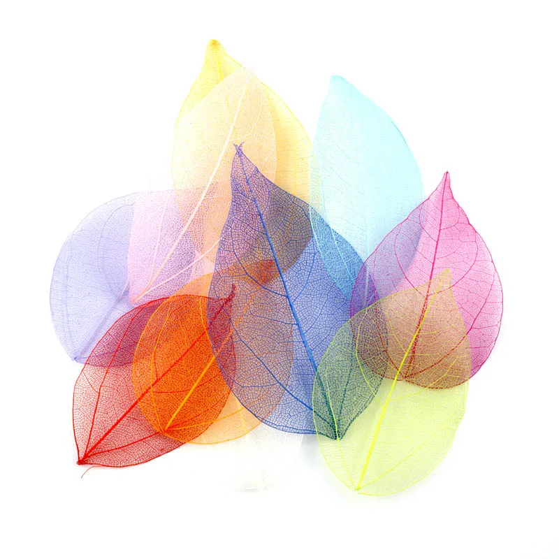 

Nice Gift DIY Material Vein Net Leaf Portable 100Pcs Pressed Flower Diamond Leaf Dried Flower Multifunction