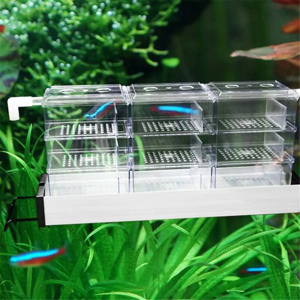 

Acrylic Aquarium External Filter Trickle Rain Drop Upper Box Fish Tank Water Black Clear Filter Trickle Box Acrylic