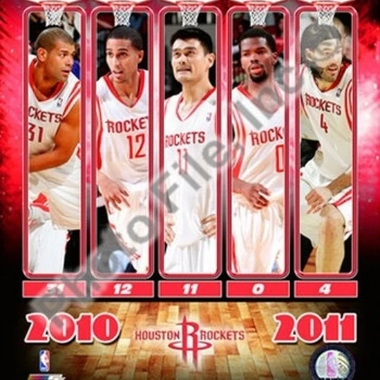 2010 11 Houston Rockets Team Composite Sports Photo (8 x