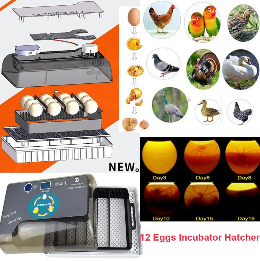 

Newest Farm Hatchery Incubator Brooder Machine 4-35 Egg Hatchers Cheap Price Chicken Automatic Eggs Incubator Bird Quail Brooder