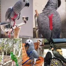 Perroquet oiseau laisse Anti-morsure vol formation corde perroquet oiseau laisse pour animaux de compagnie Kits ultra-léger harnais laisse doux Portable animal de compagnie jouet
