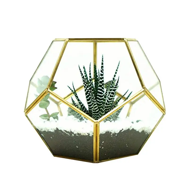 Polyhedron Glass Geometric Terrarium Succulent Fern Moss Pot Air Plants Box Case