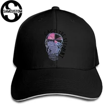 SAMCUSTOM четыре сезона универсальный повседневное кепки летний капюшон креативная клетка слон группа 3D печать кепки для женщин сэндвич