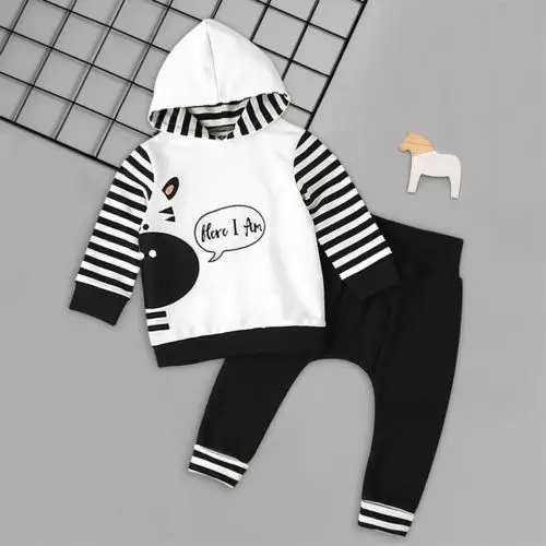  2pcs Newborn Toddler Baby Girl Hooded Sweater Tops+Pants Outfits Set Clothes