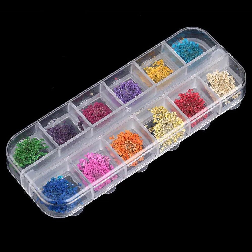 

12 Cell Empty Plastic Storage Beads Case for Storing False Glitter Rhinestones Shiny Sheets Dired Flower Nail Art Products