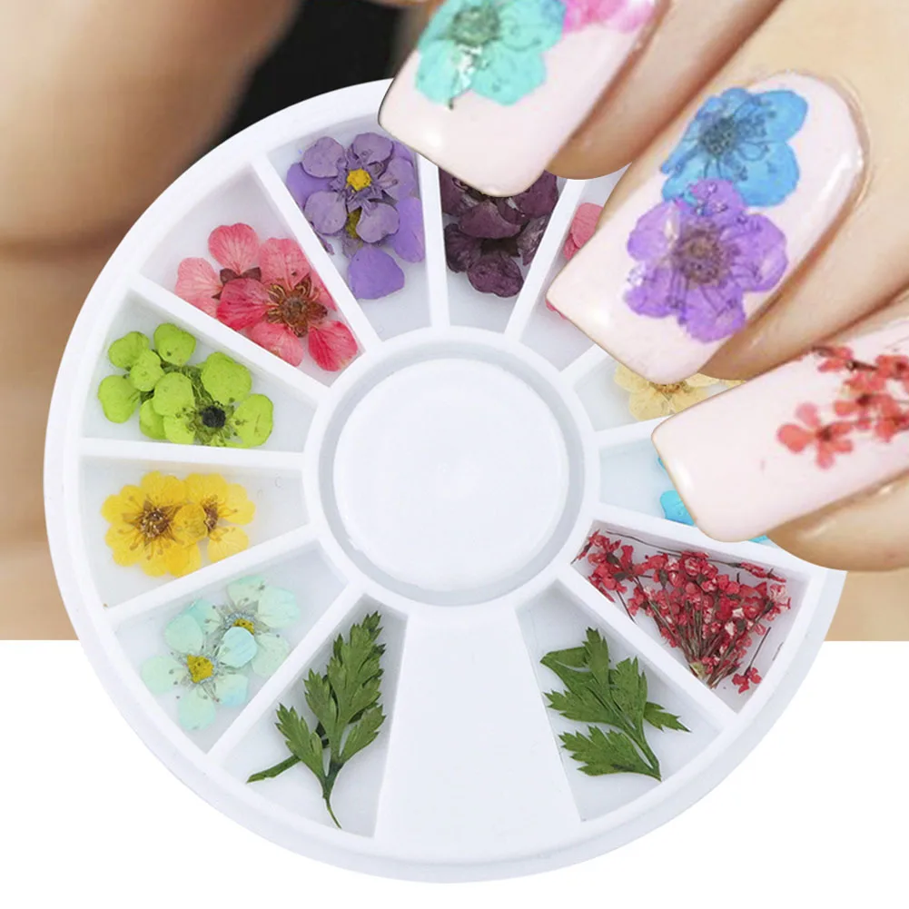 

10g 3D Nail Dry Dried Flower Colorful DIY Nail Art Design Manicure False Tips Pressed Blossom Stickers Nail Decoration in Wheel