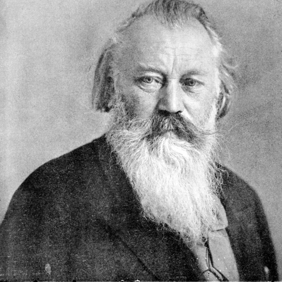 Johannes Brahms немецкий композитор плакат печать по науке источник (24x36)|Таблички и