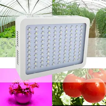 

1000W Full Spectrum Hydro LED Grow Light for Medical Plants Veg & Bloom Fruit EU Plug