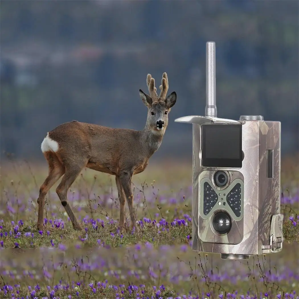 

1080P Wildlife Scouting Trail Photo Night Vision Hunting Yes Black Photograph Travel, Outdoor, etc Camera
