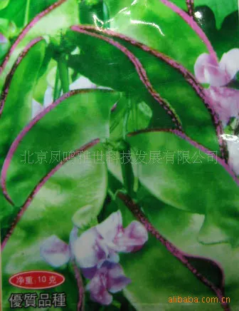 

Thailand purple fringing Meidou 10pcs hot vegetable bonsai