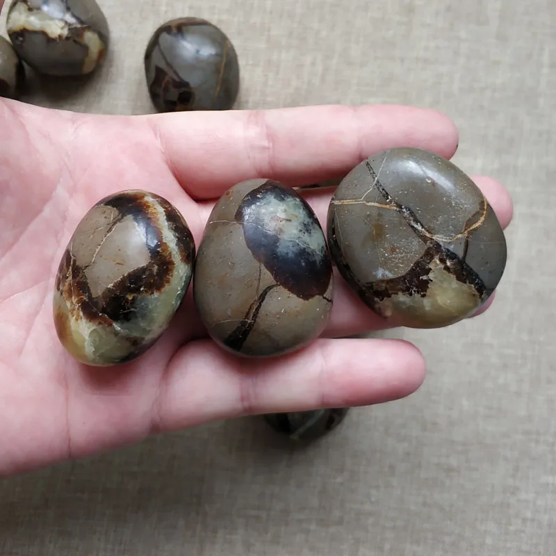 

Natural turtle stone small play crystal stone ornaments hand piece home decoration landscaping small stone ore specimen