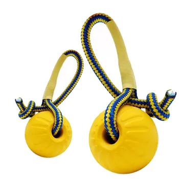 Dog Training Toy Ball