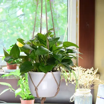 

Plant Hanger Flowerpot Hanger Plant Rope Hangers Indoor or Outdoor Decorations 121.9 cm 4 Medium Size Jute Suspension, 4 Nets