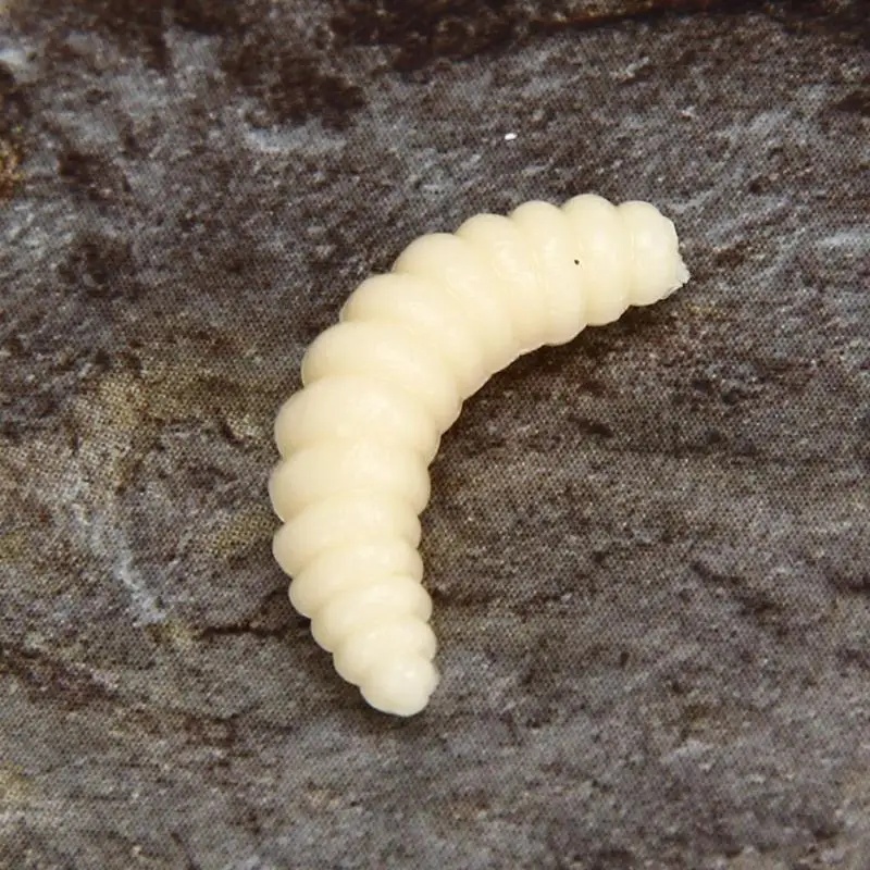 200 шт./лот 4 вида цветов мягкие рыболовные приманки Maggots червяки хлеб жучок