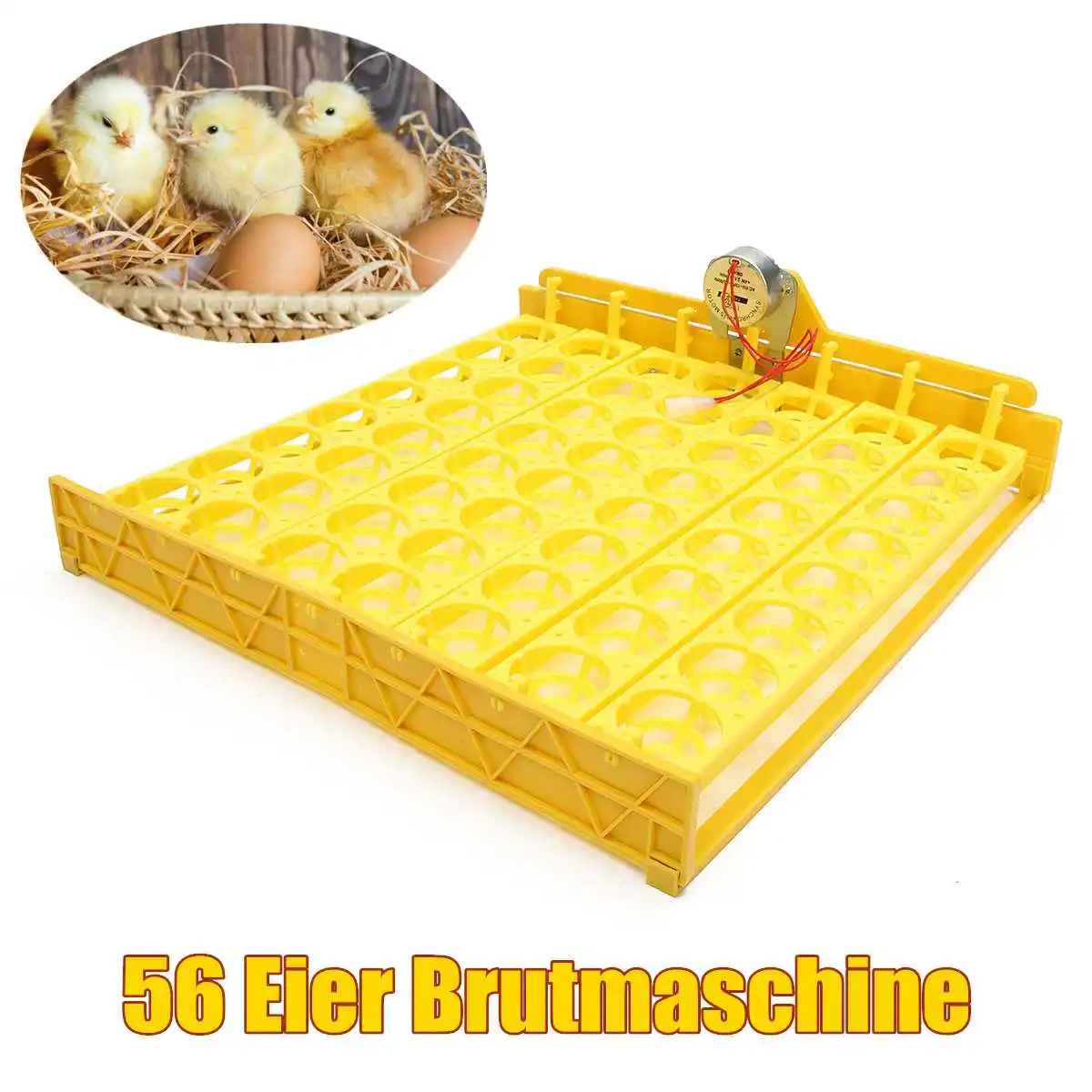 220V/110V 56 Eggs Incubator Chicken Duck Poultry Automatic Incubator Poultry Eggs Poultry Incubation Equipment Plastic Eggs Tray 220V/110V 56 Eggs Incubator Chicken Duck Poultry Automatic Incubator Poultry Eggs Poultry Incubation Equipment Plastic Eggs Tray