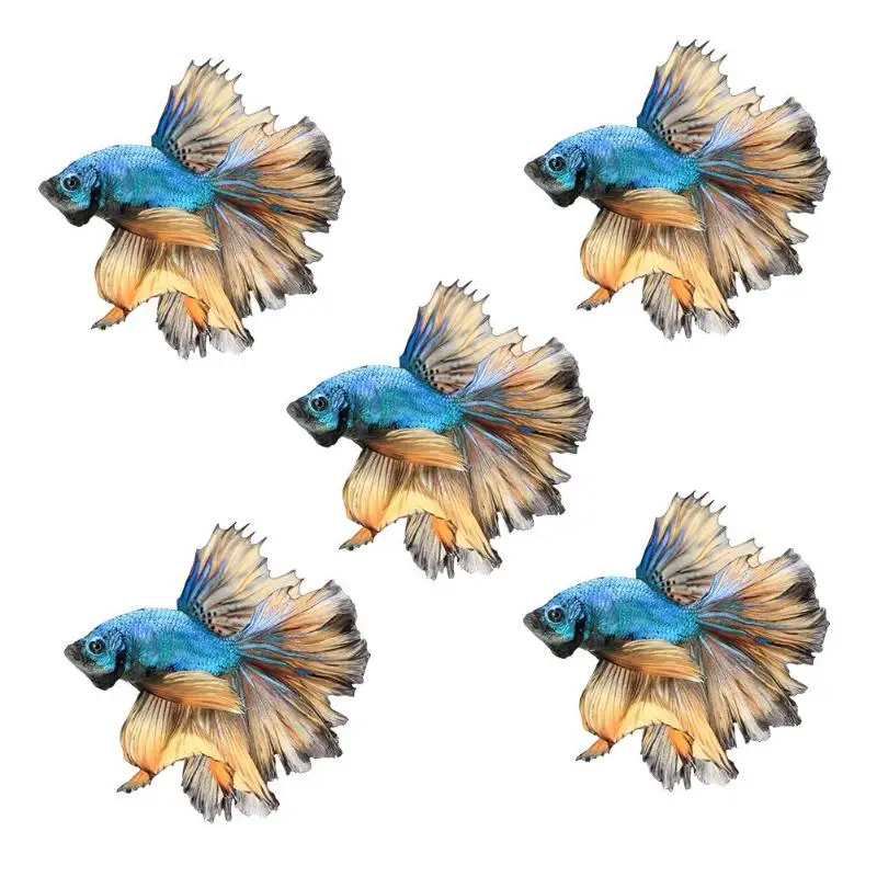 

5pcs/set PET Iron-on Clothes Heat Transfer Patches Sticker Garment Fabric Decals Badge Fish Printed YH107 for T-shirt Bags