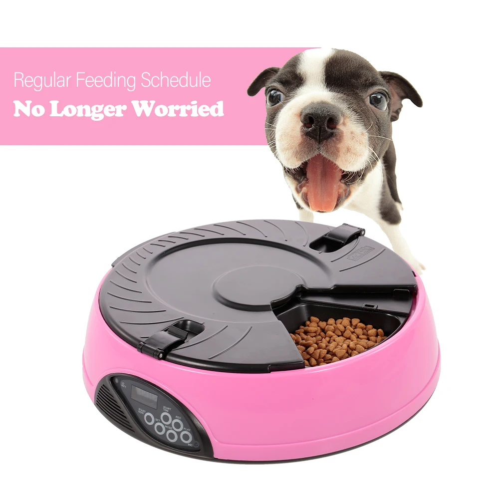 

6 Meal Voice Recorder Automatic Pet Feeder Timer Dog Food Dispenser easy to clean Water Food Bowl for Cats and Dogs
