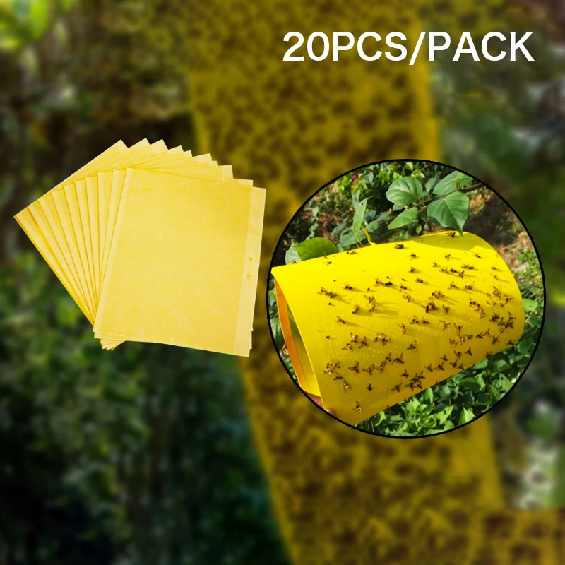 

20PCS Strong Flies Traps Bugs Sticky Board Catching Aphid Insects Pest Killer Outdoor Fly Trap For Aphids Fungus GnatsLeaf D