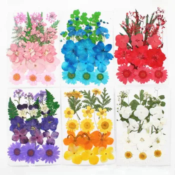 

Portable Collection DIY Art Floral Decors Nice Gift Organic 1 Bag Pressed Flowers Natural Dried Flowers Mixed Colors