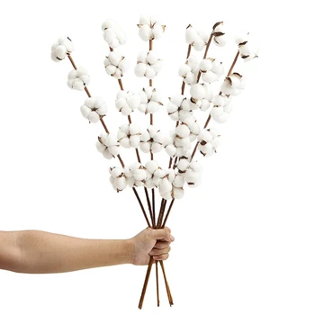 

6 Pack 27 Inch Cotton Stems Farmhouse Decor Rustic Style Vase Filler Floral Decoration Flower
