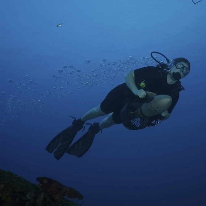 Аквалангист использует движущую силу diver у берегов Бонайре Caribbean Netherlands Poster Print