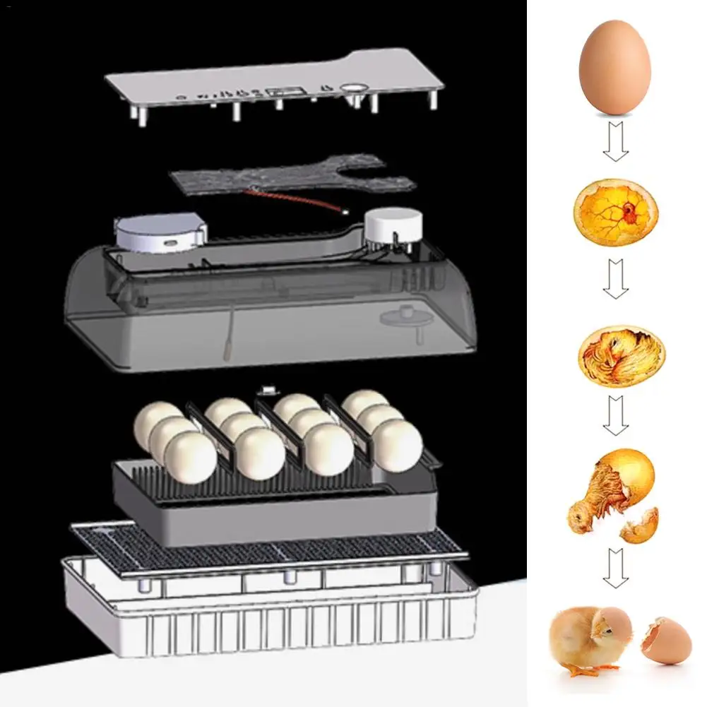 Incubator Egg Incubator Digital Fully Automatic Hatcher For Egg Duck Bird Turkey Egg Home Use Livestock Poultry Supplies New Incubator Egg Incubator Digital Fully Automatic Hatcher For Egg Duck Bird Turkey Egg Home Use Livestock Poultry Supplies New