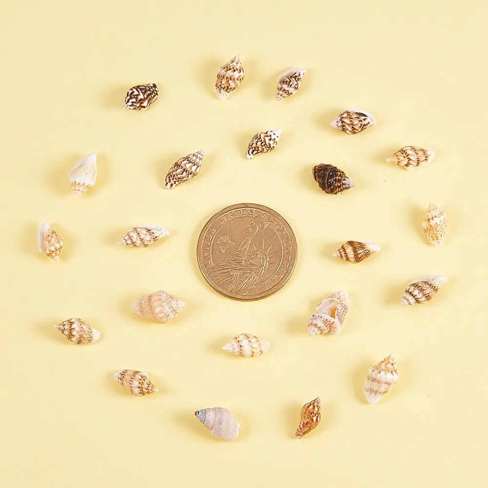 About 1300-1500 Sea Shell Ocean Beach Spiral Seashells Craft Charms 7-12mm  for Candle Making,,Beach Theme Party Wedding Decor,Fish Tank and Vase Fille
