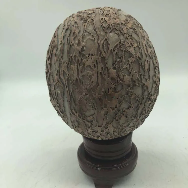 

Natural bark stone dinosaur egg landscape stone mineral specimen personality home office decoration